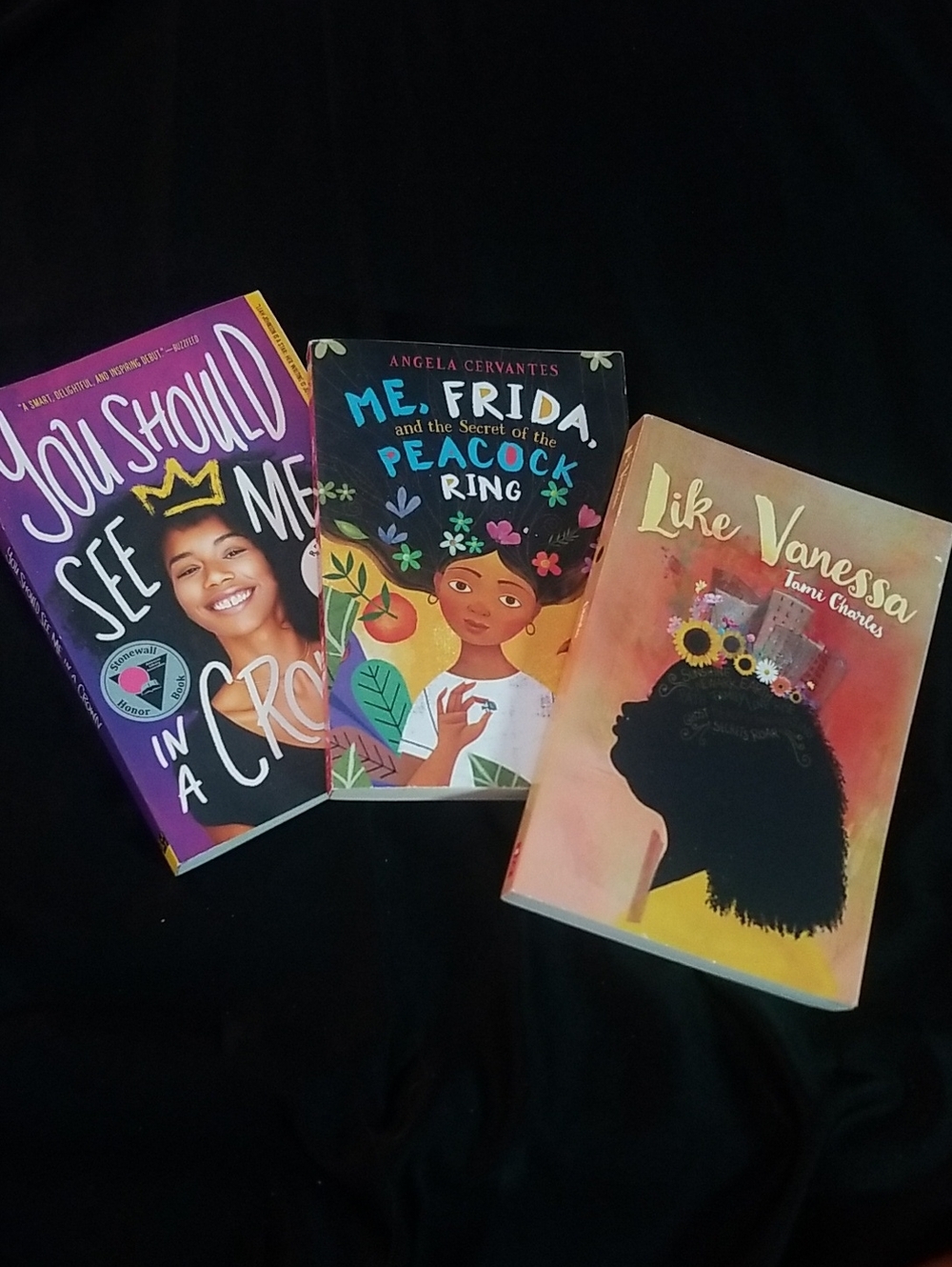 You Should See Me in a Crown / Me, Frida / Like Vanessa - Colorful Book Bundle
